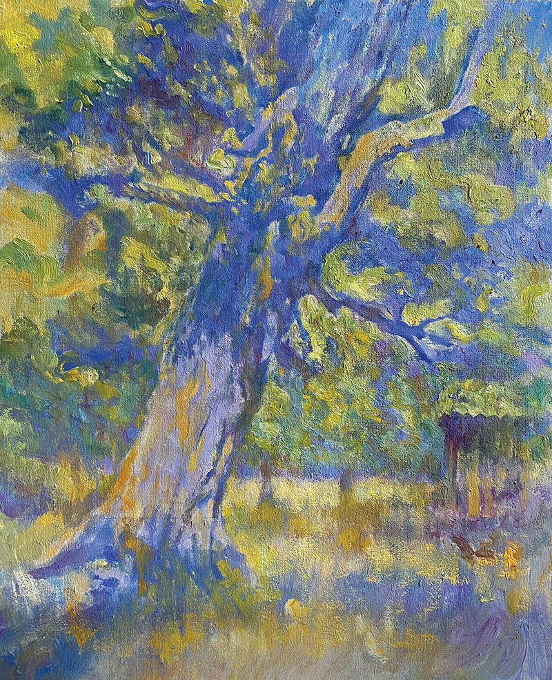 tree in glade