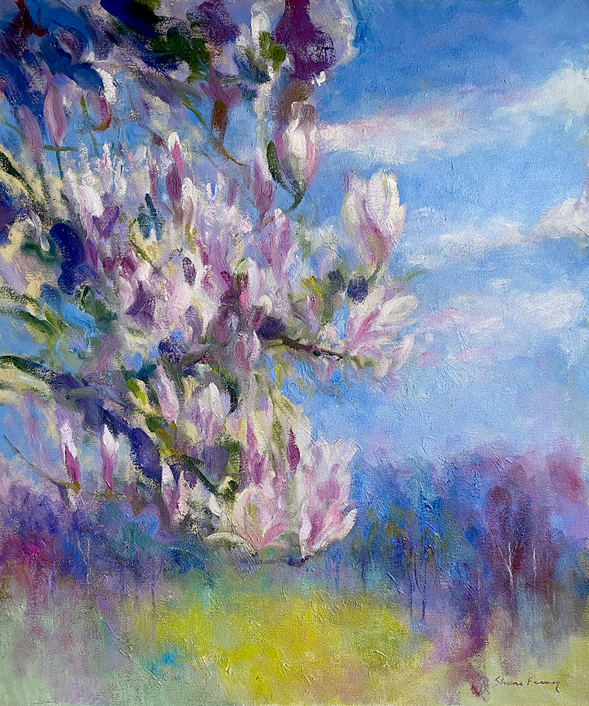 magnolia spring